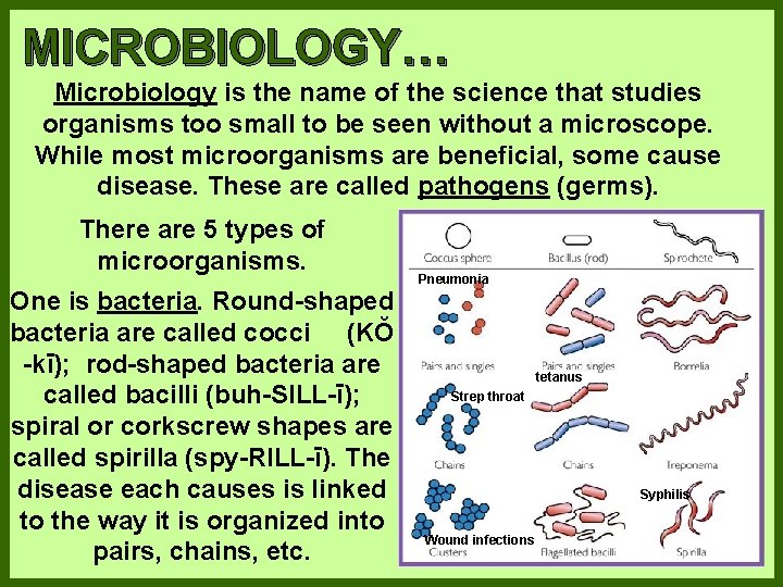 MICROBIOLOGY… Microbiology is the name of the science that studies organisms too small to
