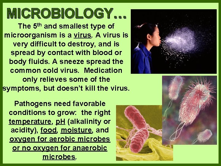 MICROBIOLOGY… The 5 th and smallest type of microorganism is a virus. A virus