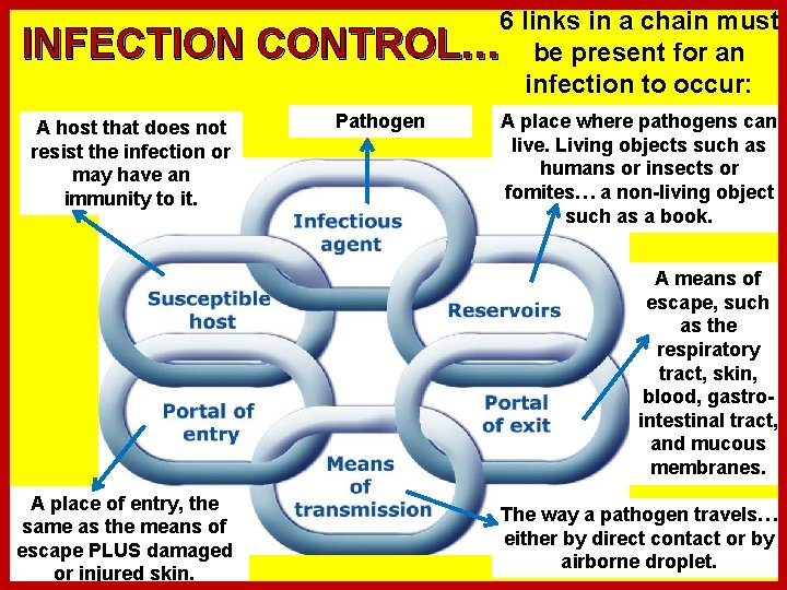 INFECTION A host that does not resist the infection or may have an immunity
