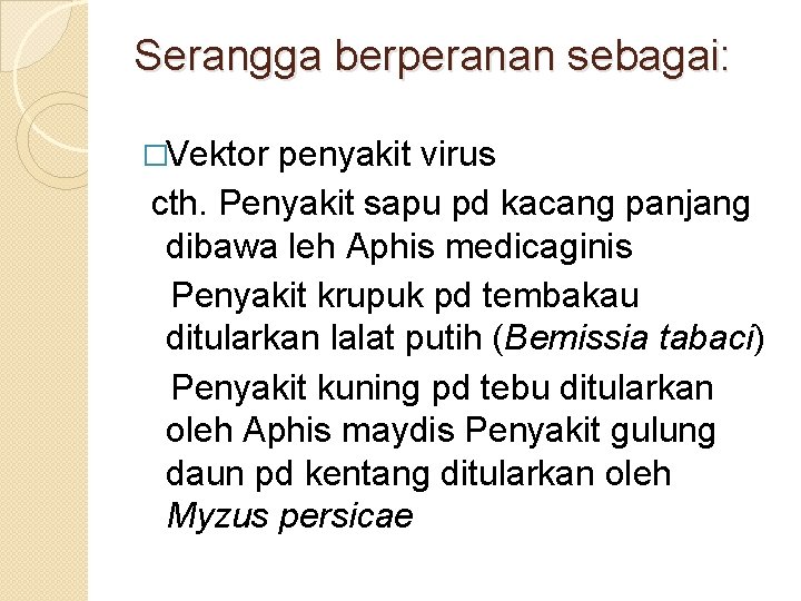 Serangga berperanan sebagai: �Vektor penyakit virus cth. Penyakit sapu pd kacang panjang dibawa leh