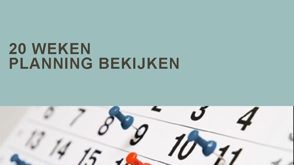 20 WEKEN PLANNING BEKIJKEN 