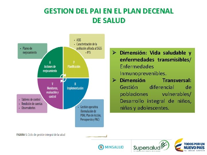 GESTION DEL PAI EN EL PLAN DECENAL DE SALUD Ø Dimensión: Vida saludable y