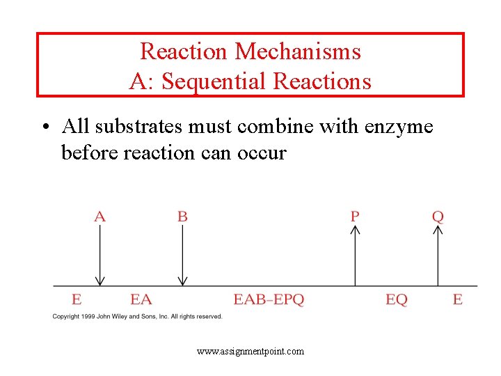 Reaction Mechanisms A: Sequential Reactions • All substrates must combine with enzyme before reaction