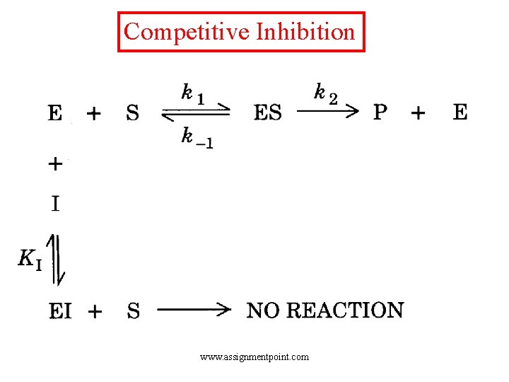 Competitive Inhibition www. assignmentpoint. com 