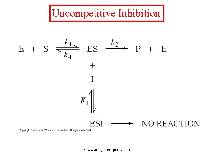 Uncompetitive Inhibition www. assignmentpoint. com 