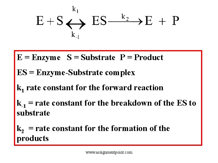 E = Enzyme S = Substrate P = Product ES = Enzyme-Substrate complex k