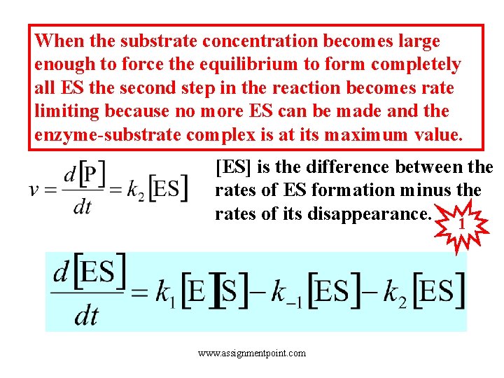 When the substrate concentration becomes large enough to force the equilibrium to form completely