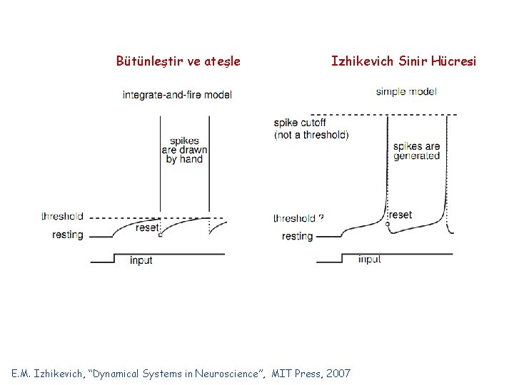 Bütünleştir ve ateşle Izhikevich Sinir Hücresi E. M. Izhikevich, “Dynamical Systems in Neuroscience”, MIT