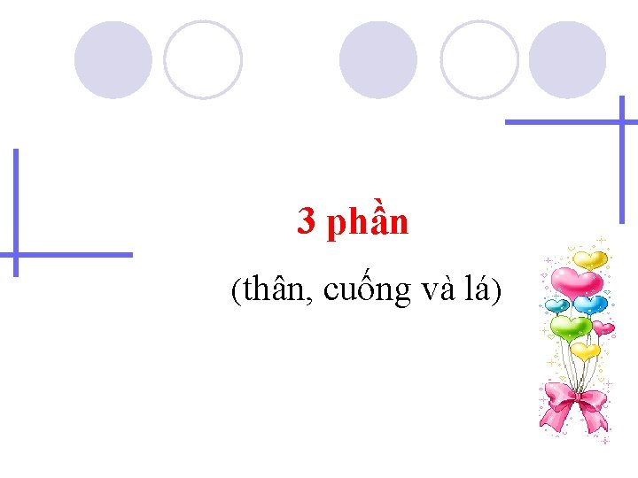 3 phần (thân, cuống và lá) 