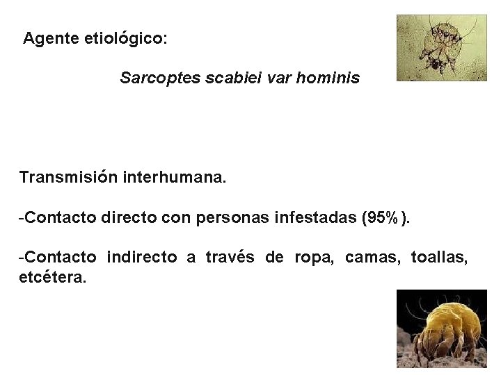 Agente etiológico: Sarcoptes scabiei var hominis Transmisión interhumana. -Contacto directo con personas infestadas (95%).