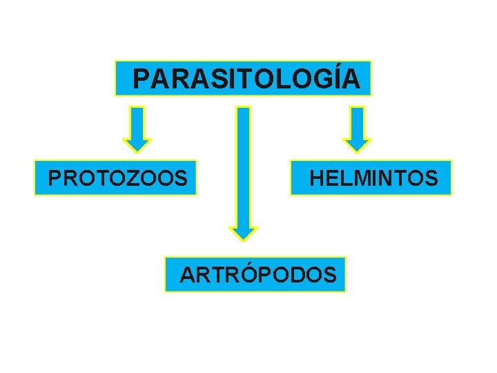 PARASITOLOGÍA PROTOZOOS HELMINTOS ARTRÓPODOS 