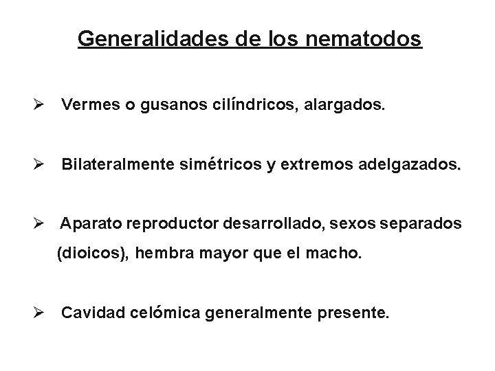 Generalidades de los nematodos Ø Vermes o gusanos cilíndricos, alargados. Ø Bilateralmente simétricos y