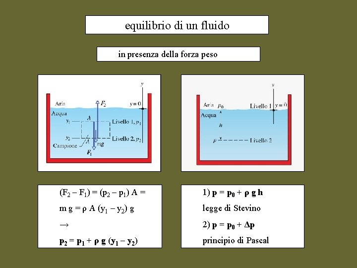 equilibrio di un fluido in presenza della forza peso (F 2 – F 1)