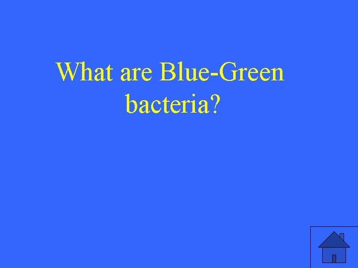 What are Blue-Green bacteria? 