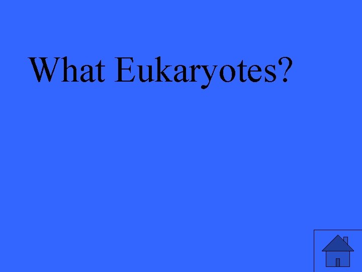 What Eukaryotes? 