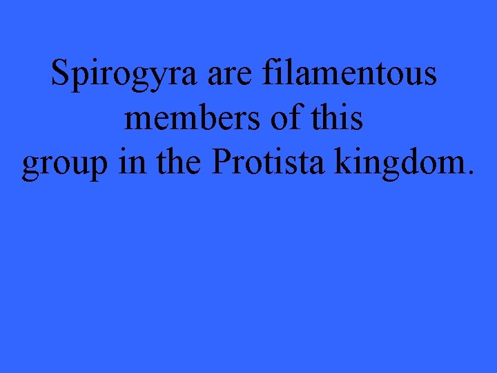 Spirogyra are filamentous members of this group in the Protista kingdom. 