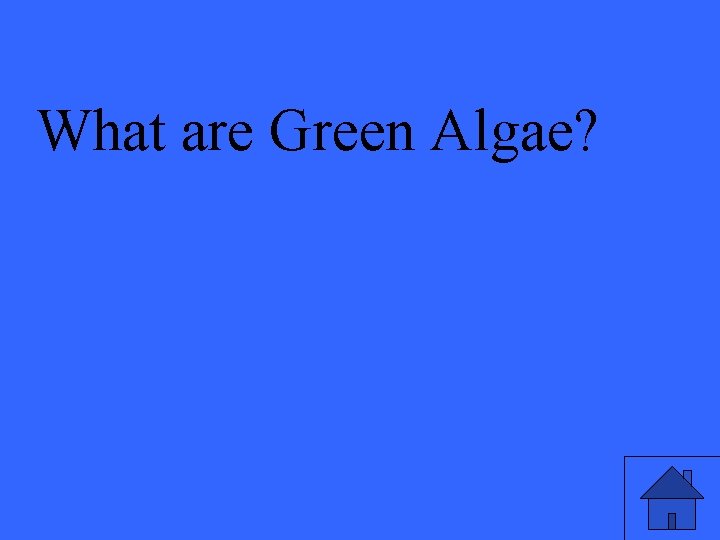What are Green Algae? 