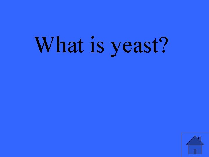 What is yeast? 