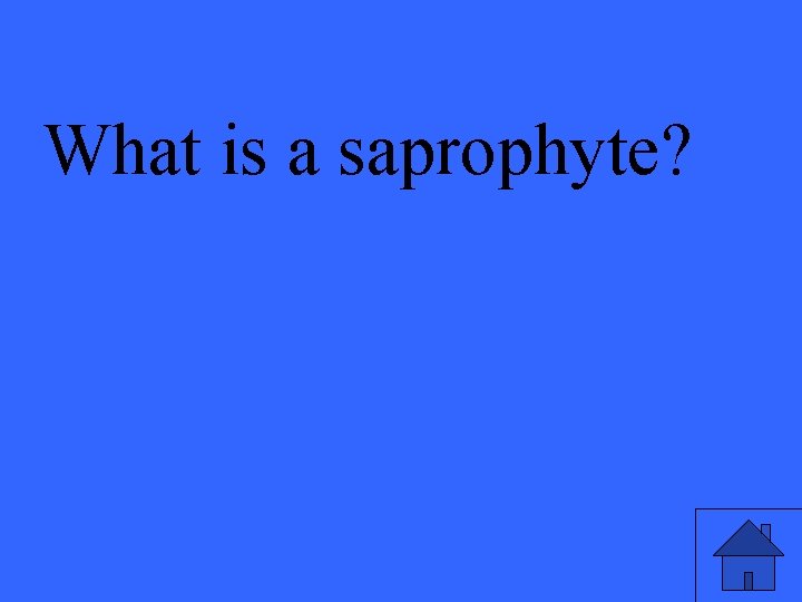 What is a saprophyte? 