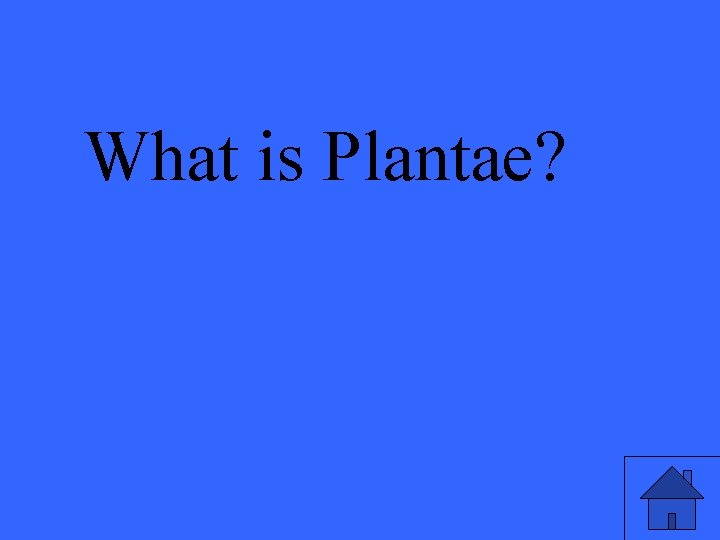 What is Plantae? 
