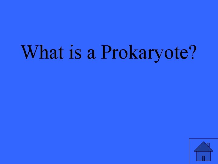 What is a Prokaryote? 