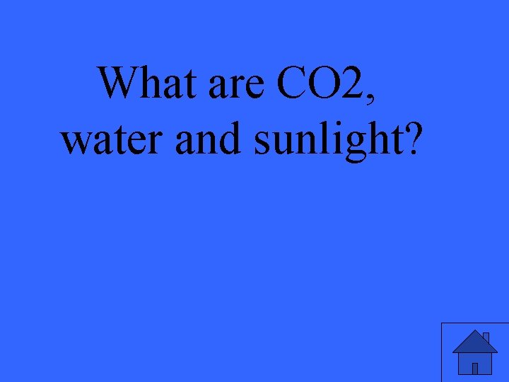 What are CO 2, water and sunlight? 