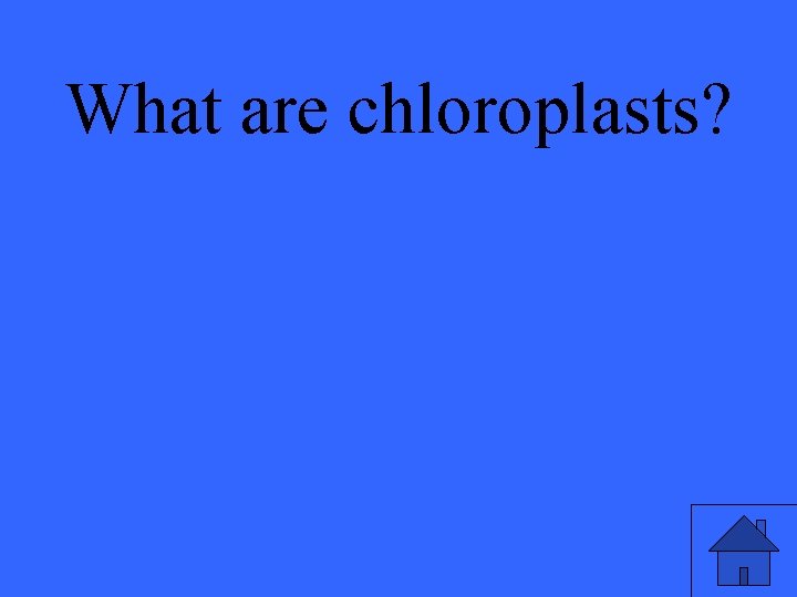 What are chloroplasts? 