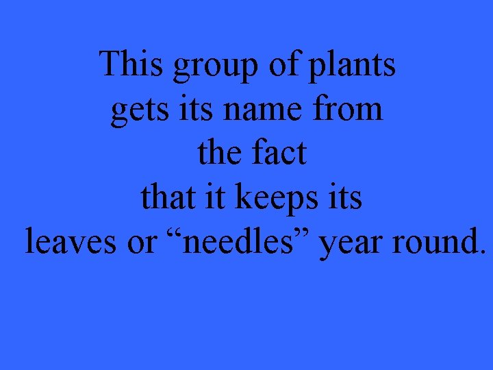 This group of plants gets its name from the fact that it keeps its