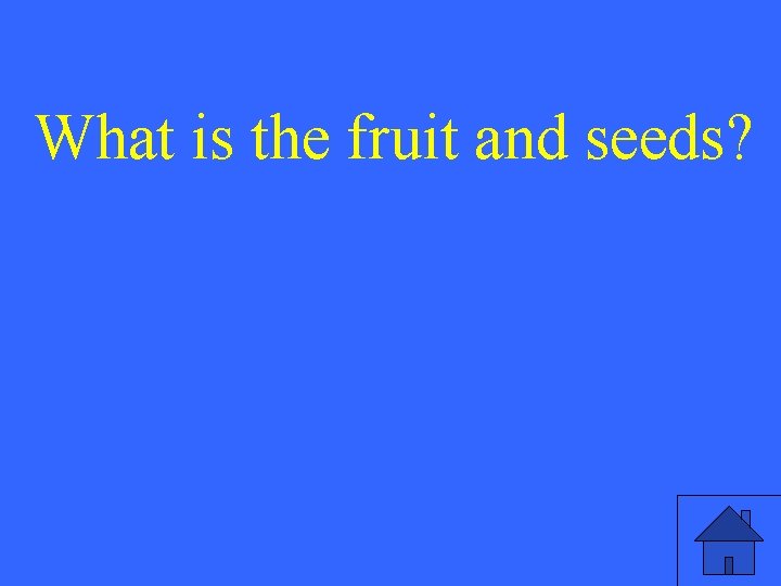 What is the fruit and seeds? 