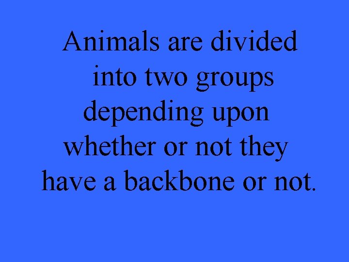 Animals are divided into two groups depending upon whether or not they have a
