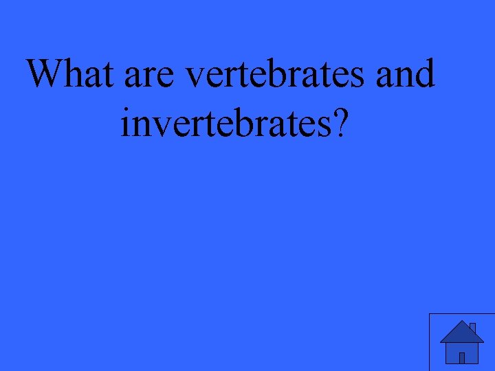 What are vertebrates and invertebrates? 