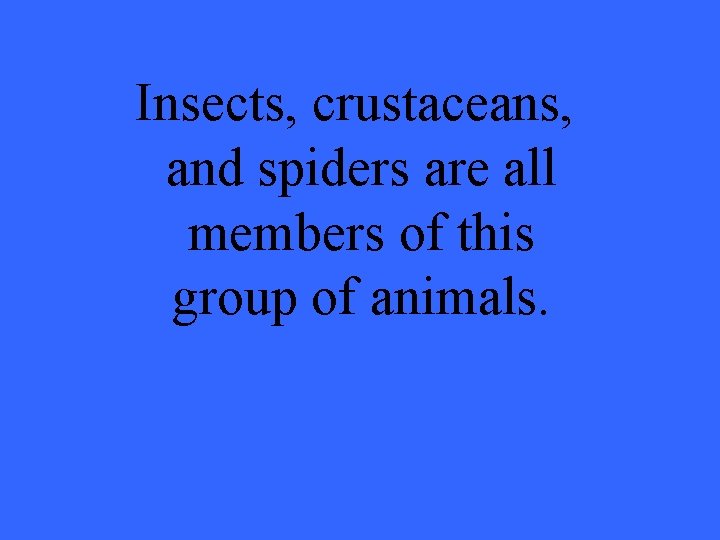 Insects, crustaceans, and spiders are all members of this group of animals. 