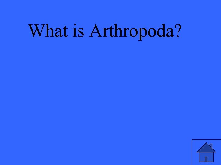 What is Arthropoda? 