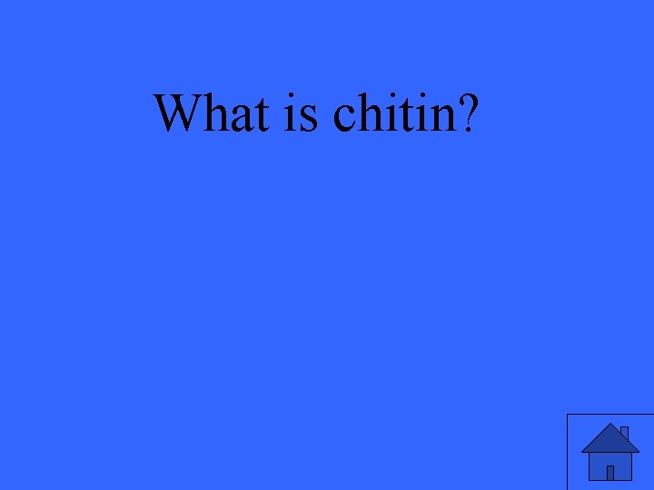 What is chitin? 