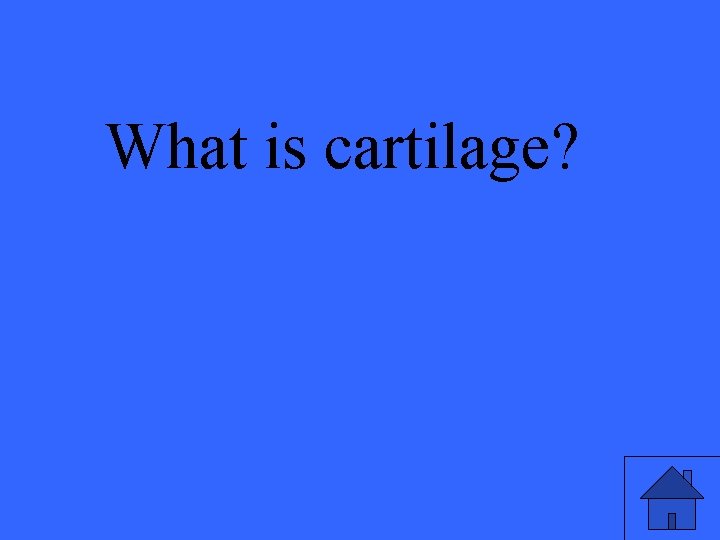 What is cartilage? 