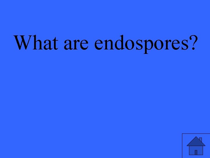 What are endospores? 
