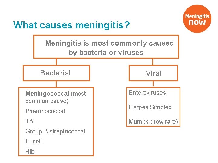 What causes meningitis? Meningitis is most commonly caused by bacteria or viruses Bacterial Meningococcal