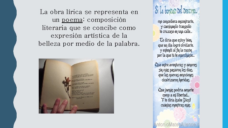 La obra lírica se representa en un poema: composición literaria que se concibe como