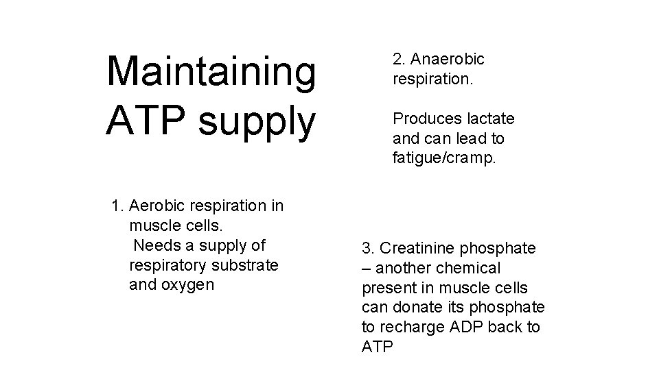 Maintaining ATP supply 1. Aerobic respiration in muscle cells. Needs a supply of respiratory Maintaining ATP supply 1. Aerobic respiration in muscle cells. Needs a supply of respiratory