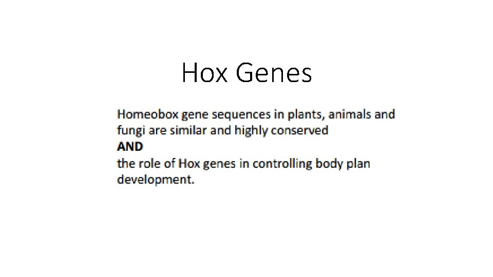 Hox Genes Hox Genes