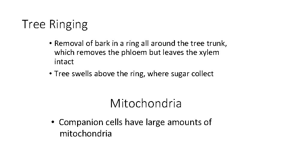Tree Ringing • Removal of bark in a ring all around the tree trunk, Tree Ringing • Removal of bark in a ring all around the tree trunk,