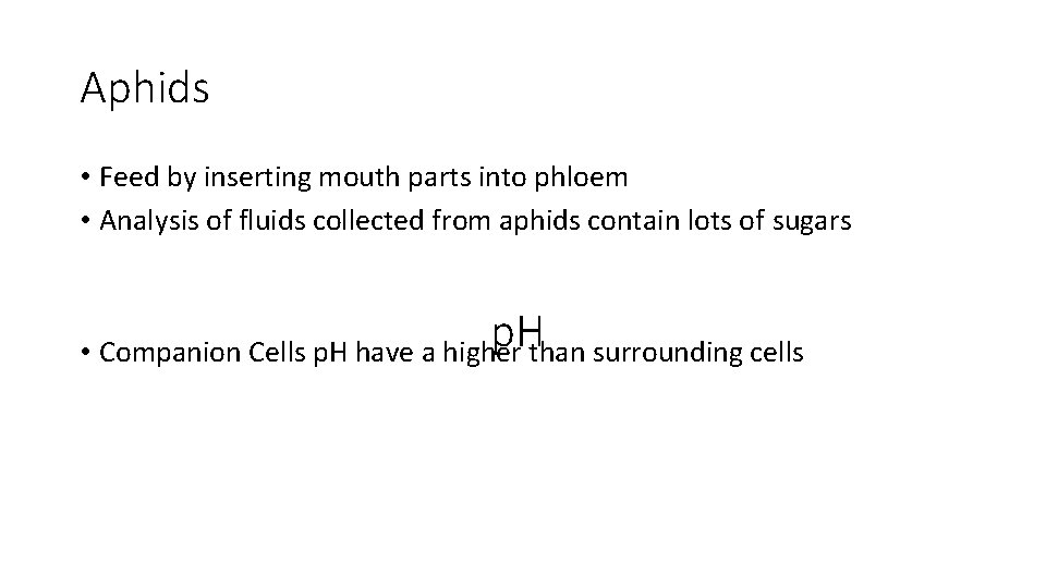 Aphids • Feed by inserting mouth parts into phloem • Analysis of fluids collected Aphids • Feed by inserting mouth parts into phloem • Analysis of fluids collected