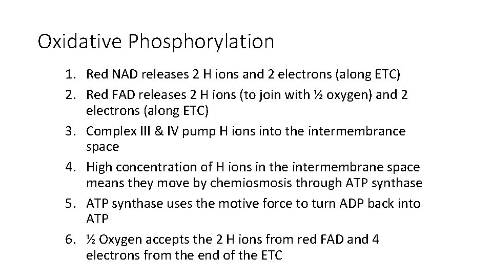 Oxidative Phosphorylation 1. Red NAD releases 2 H ions and 2 electrons (along ETC) Oxidative Phosphorylation 1. Red NAD releases 2 H ions and 2 electrons (along ETC)
