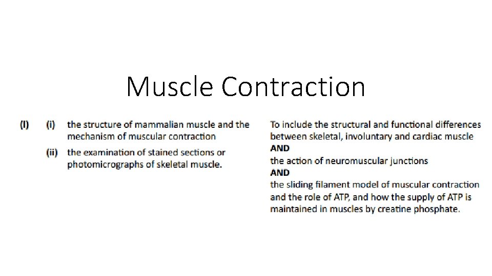 Muscle Contraction Muscle Contraction