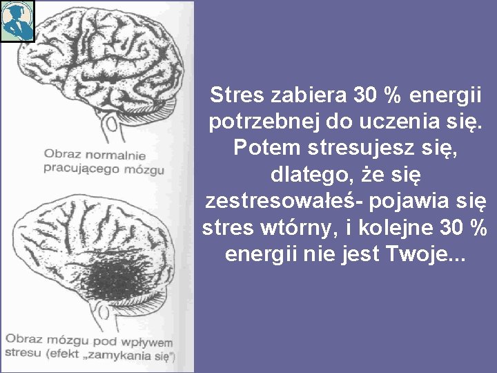 Stres zabiera 30 % energii potrzebnej do uczenia się. Potem stresujesz się, dlatego, że