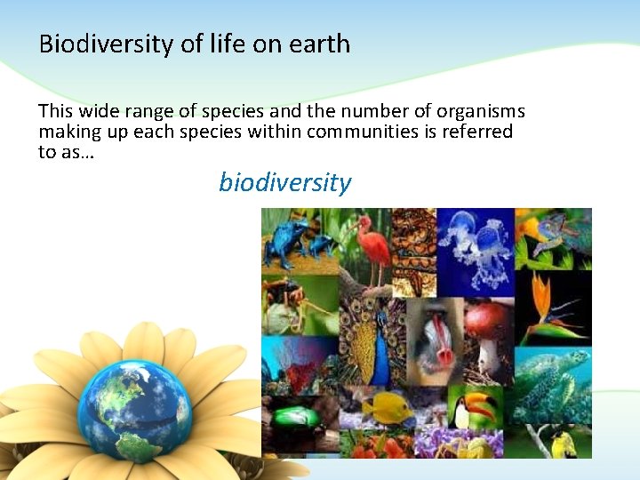 Biodiversity of life on earth This wide range of species and the number of