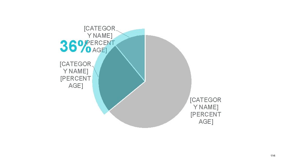 [CATEGOR Y NAME] [PERCENT AGE] 36% [CATEGOR Y NAME] [PERCENT AGE] 114 
