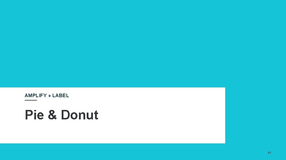 AMPLIFY » LABEL Pie & Donut 61 AMPLIFY » LABEL Pie & Donut 61