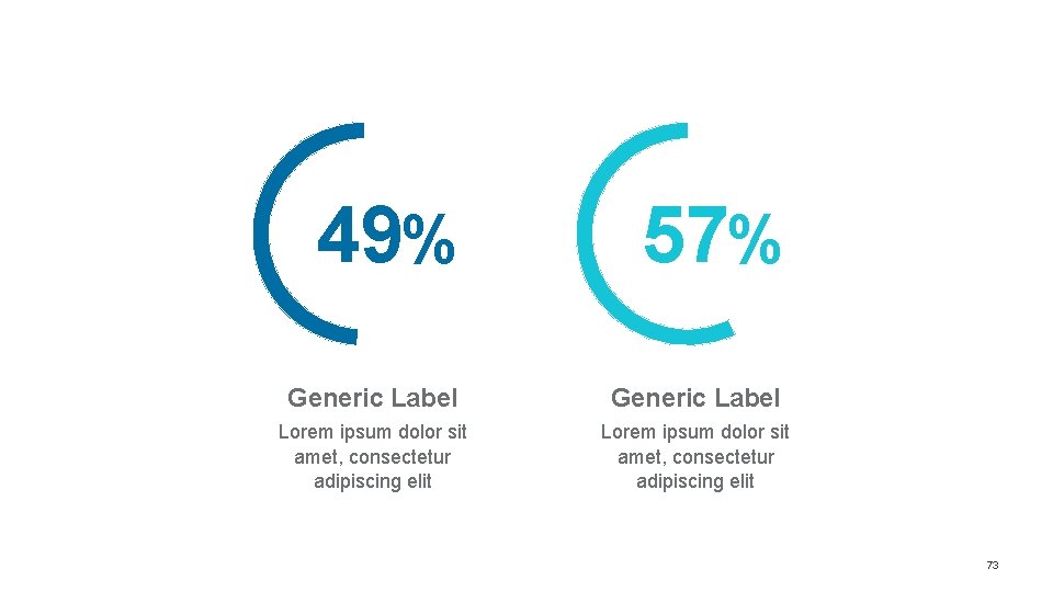 49% 57% Generic Label Lorem ipsum dolor sit amet, consectetur adipiscing elit 73 49% 57% Generic Label Lorem ipsum dolor sit amet, consectetur adipiscing elit 73