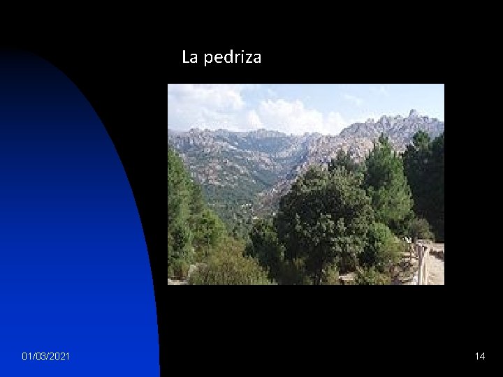  01/03/2021 La pedriza 14 